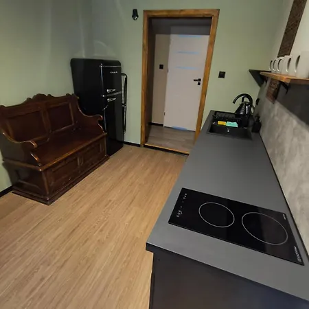 Nad Dachami Poznania - Apartament Nr 7 アパート ポズナン
